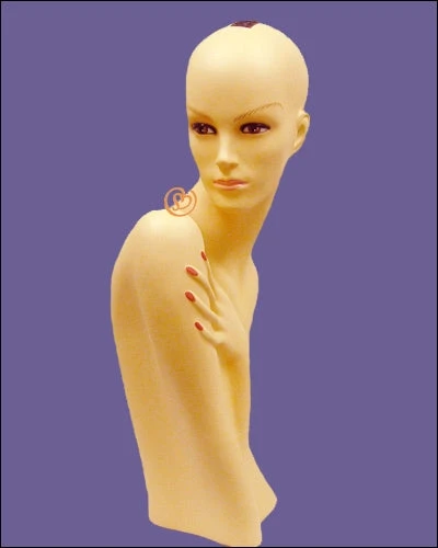 Hair Wig Mannequin MQ109F (USED) - Image 2